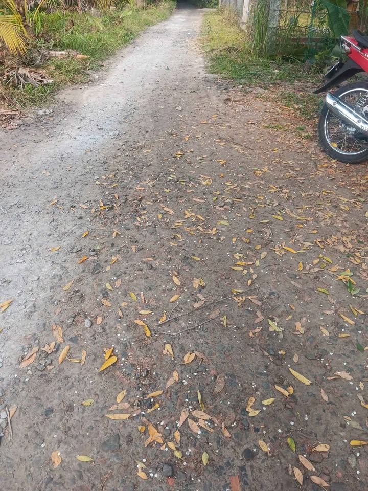 Đất nền Lương Hòa, Giồng Trôm 810m² - Sổ đỏ chính chủ, xây dựng tự do!