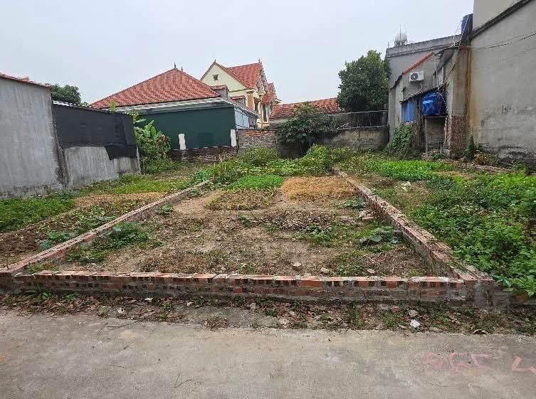 Đất nền Đa Tốn Gia Lâm 52m² Ô tô vào đất - Sổ đỏ chính chủ