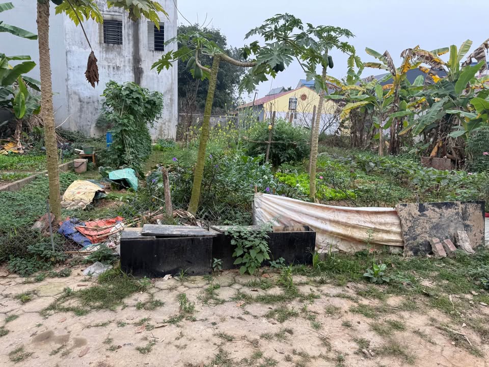 Đất cho thuê Khu đô thị Hub Phổ Yên 150m² - Mặt tiền kinh doanh đắc địa!