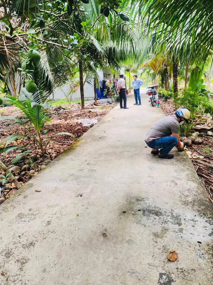 Đất vườn Hữu Định Bến Tre 1.097m² giá 1.05 tỷ - Nghỉ dưỡng lý tưởng!