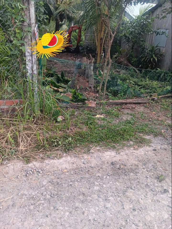 Đất nền Lương Hòa Giồng Trôm 810m² - Sổ đỏ chính chủ, giá 650 triệu!