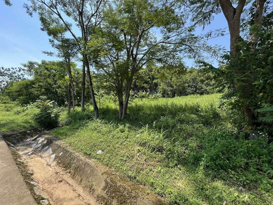 Đất thổ cư 22.6m² mặt tiền đường Hồ Chí Minh, Cẩm Thủy - Sổ đỏ sẵn sàng