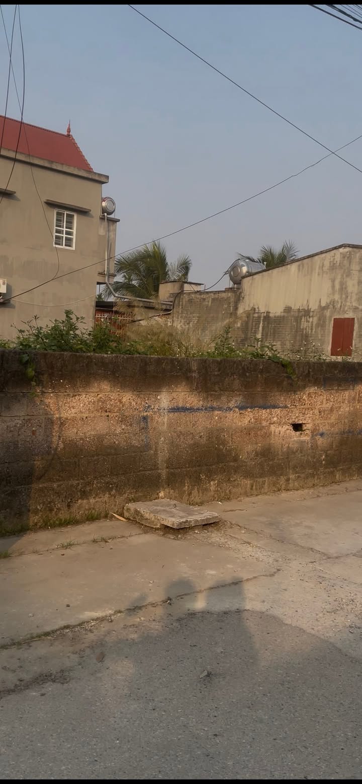 Đất nền Ngã 4 Lễ Độ, Gia Lộc 20500m² - Tiềm năng tăng giá vượt trội!