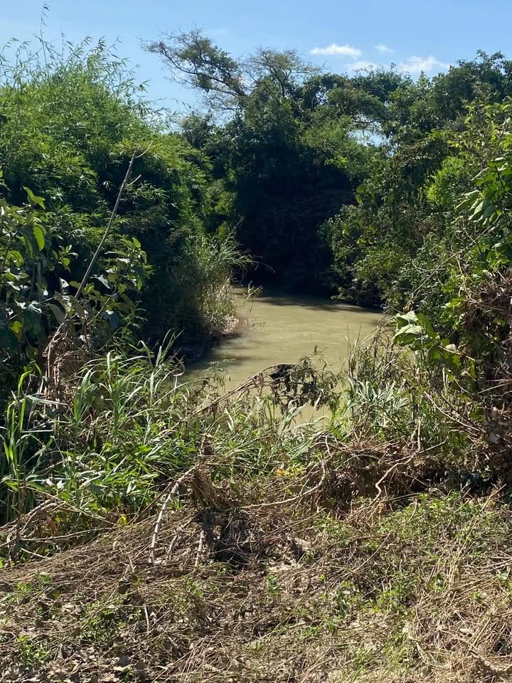 Bán Gấp Đất Vườn 1.2ha Ôm Suối Lớn Gia Lai - Giá 380 Triệu