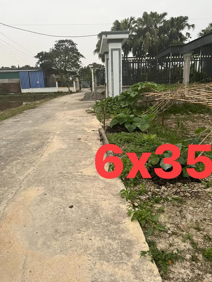 Đất nền Vĩnh Quang, Vĩnh Lộc 210m² - Tiềm năng tăng giá vượt trội!