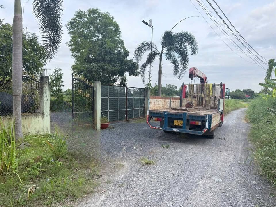 Đất Vườn 340m² Mặt Tiền Đường Hai Sang, Cần Giuộc - Giá 1.25 Tỷ