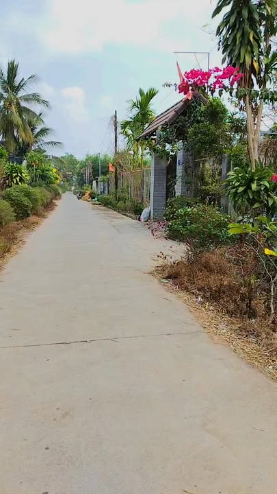 Đất nền Phú Hòa Đông Củ Chi 178m² 585 triệu - Sổ hồng riêng chính chủ