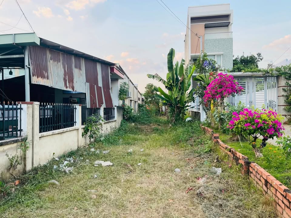 Đất Mặt Tiền QL14 Đồng Phú 250m² - Giá 2 Tỷ Kinh Doanh