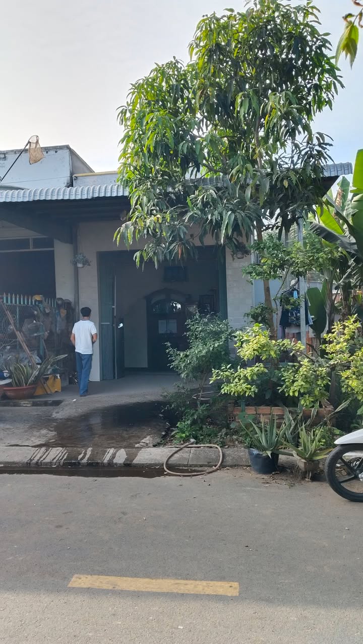 Bán Gấp Nhà 93.5m² Thị Trấn Thường Thới, Đồng Tháp - Giá 750 Triệu