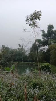 Bán đất Yên Sơn, Thanh Sơn, Phú Thọ - 2000m², sổ đỏ, giá tốt