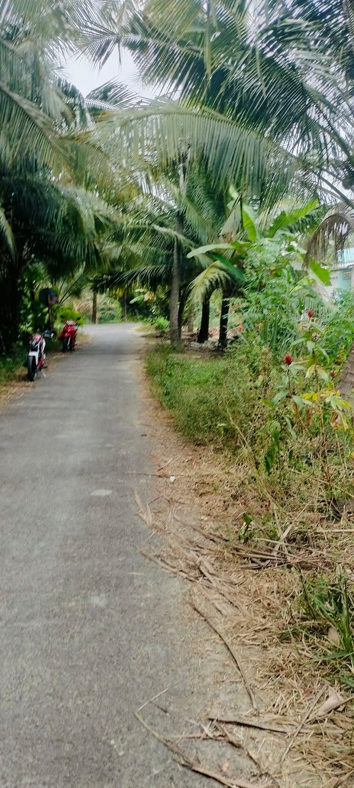 Đất nền Tiểu Cần Trà Vinh 553m² giá 500 triệu - Pháp lý rõ ràng