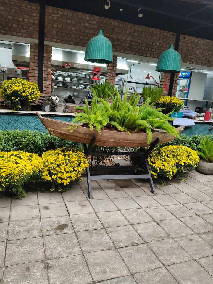 Đất nền Đông Anh 41m² - Sổ đỏ chính chủ, ô tô vào đất