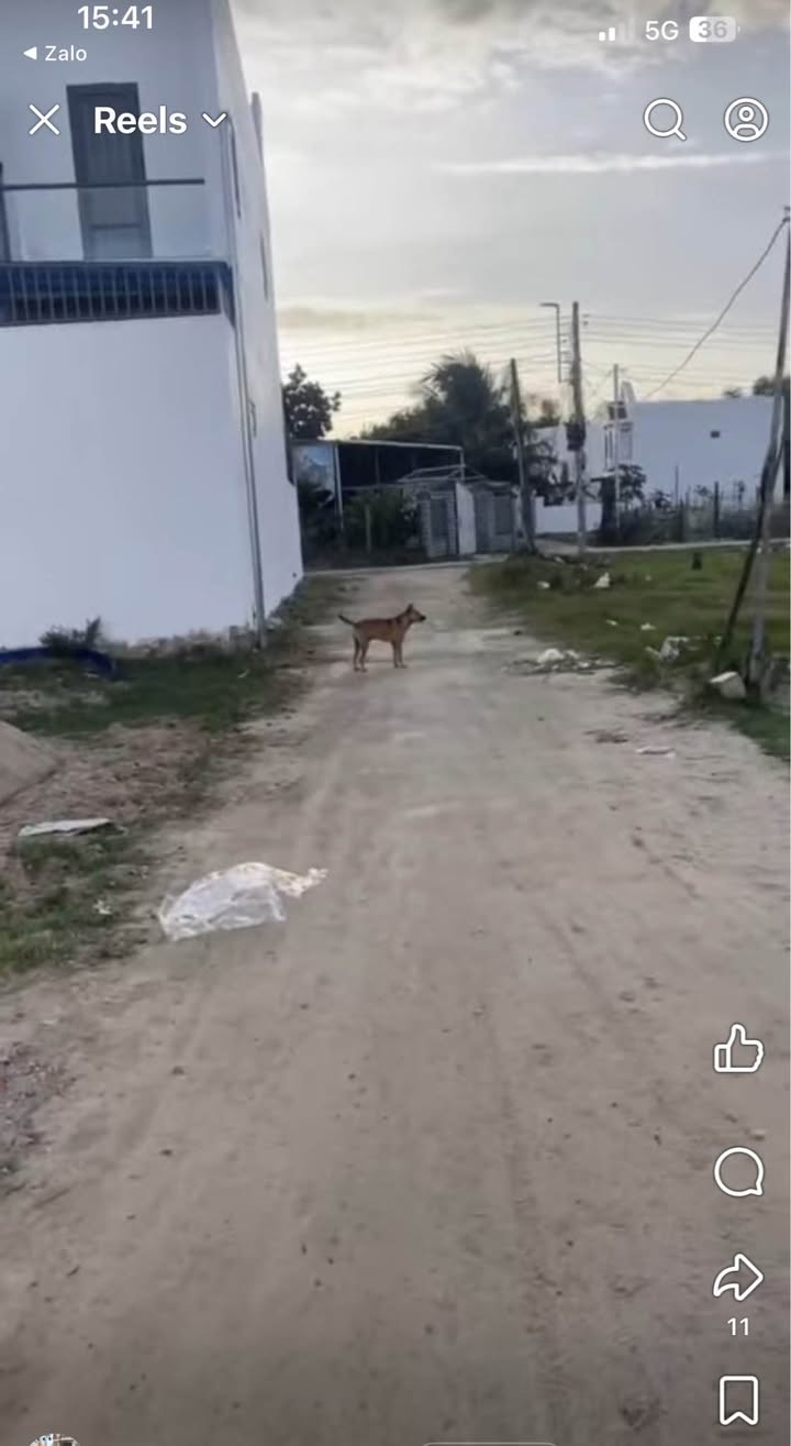 Đất Diên Lạc 74.5m² - Đường Ô Tô 4m, Giá 770 Triệu/Sổ