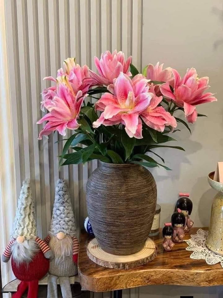 Cho thuê Tòa Căn hộ 5 Tầng Hòa Minh - Đà Nẵng - 45 Triệu/Tháng