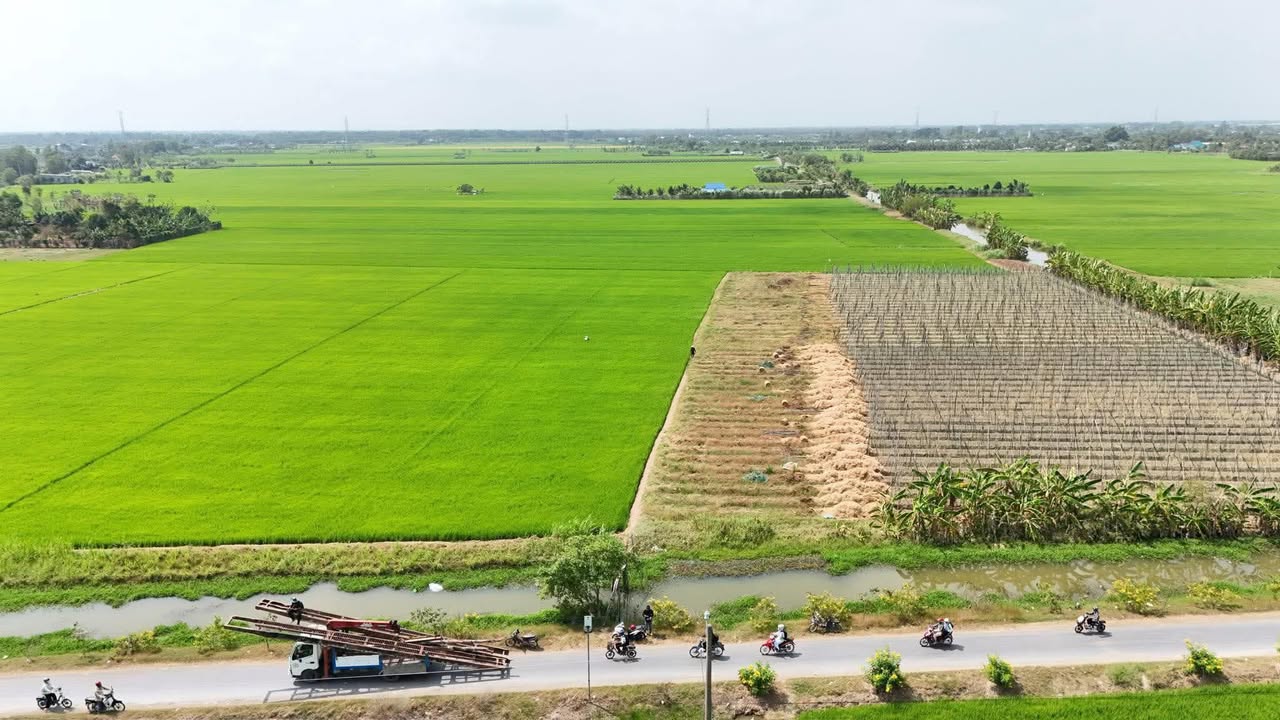 Đất Vườn 1300m² Tiền Giang - 460 Triệu, View Kênh Nước Ngọt, Sổ Hồng Sẵn