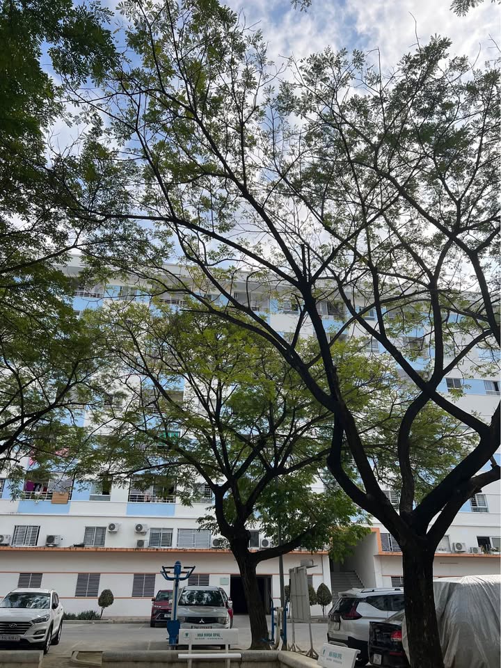 Cho thuê căn hộ CT6 Vĩnh Điềm Trung 63m² - Tầng 7, Đủ nội thất, Giá 7 triệu