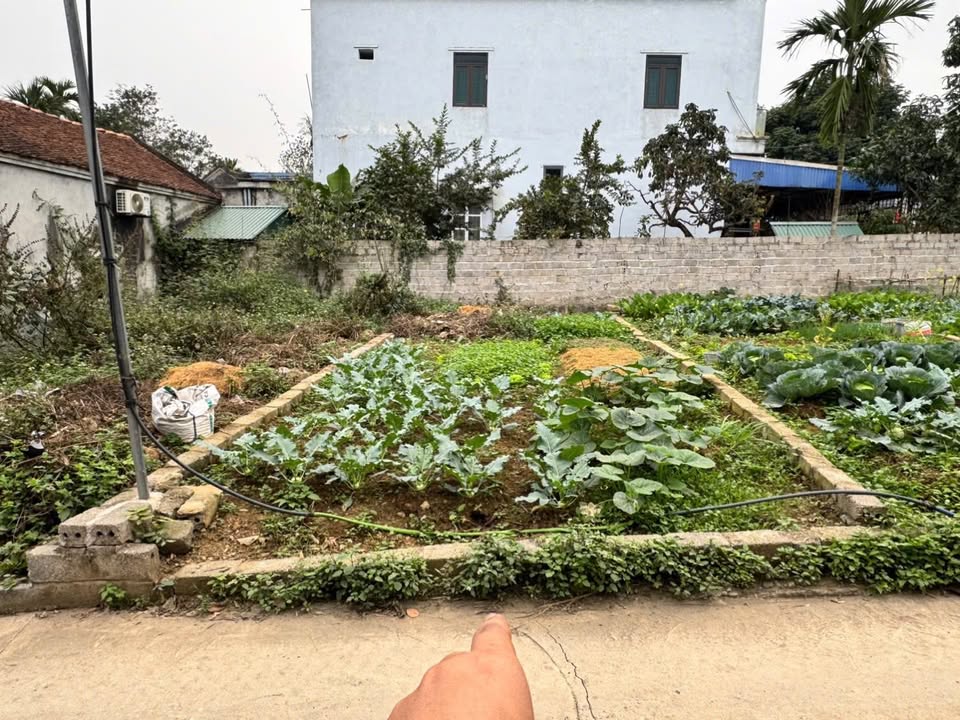 Đất nền Hợp Thanh, Mỹ Đức 45.2m² - Sổ đỏ chính chủ