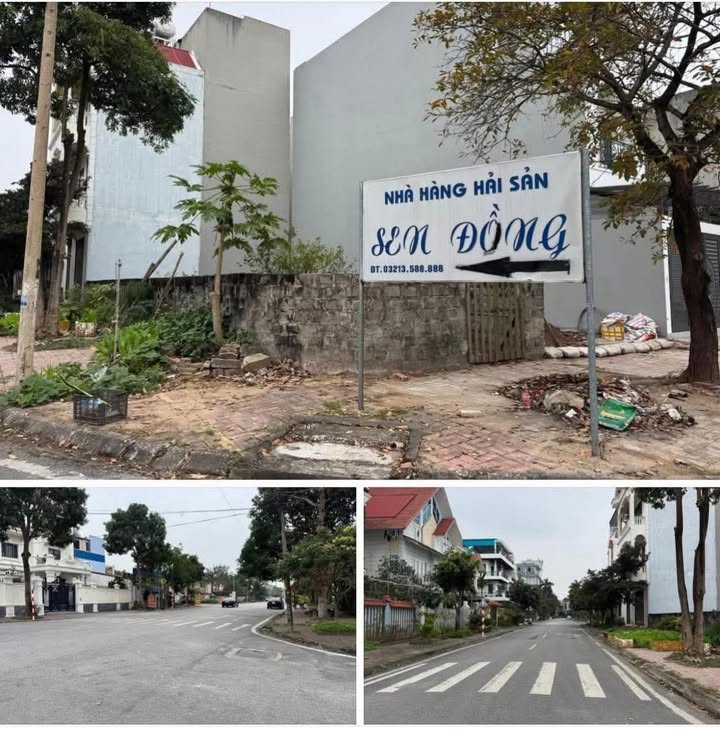 Đất nền 96m² Đường Đinh Điền, Hưng Yên - Hướng Đông Nam, Giá 11 Tỷ