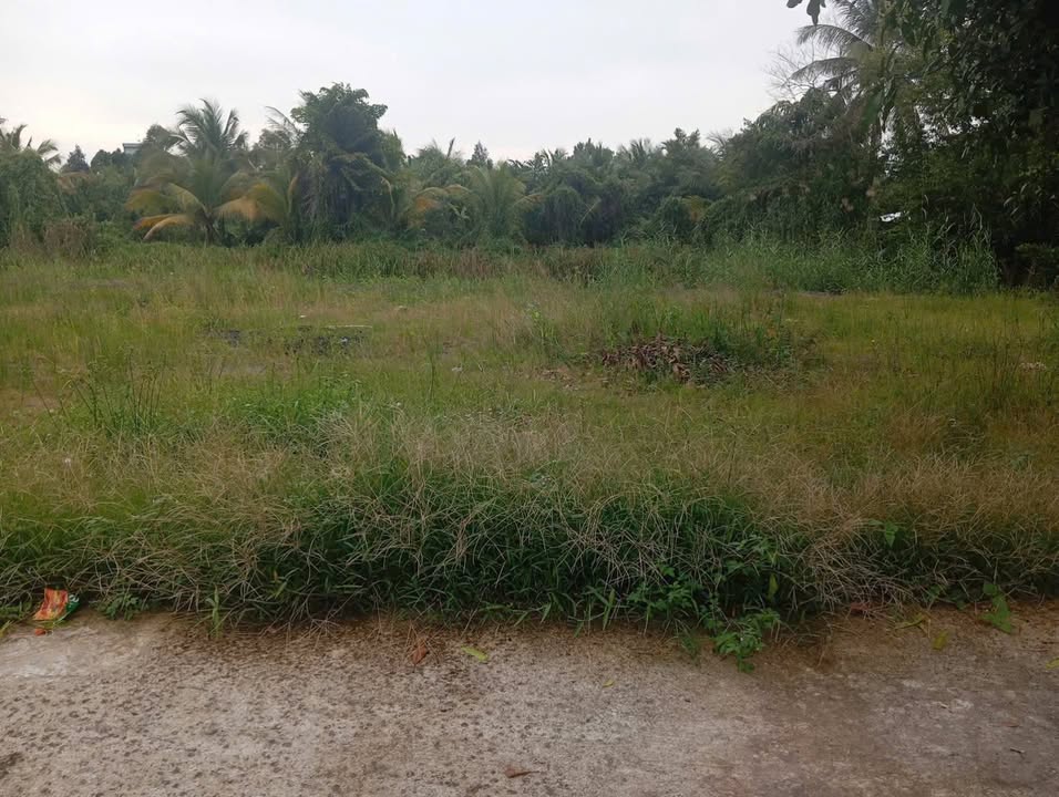 Đất Nền Xã Trường An, Long Hồ 80m² - Sổ Thổ Cư Sẵn Sàng