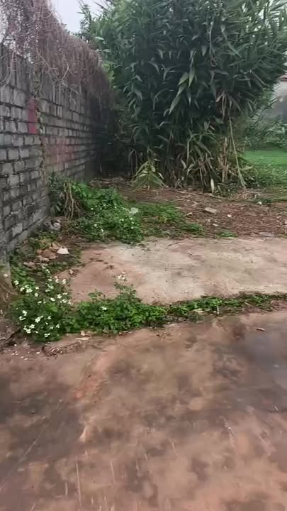 Đất nền Thị trấn Cao Thượng, Tân Yên: 130m², 1 tỷ, Mặt tiền 6m - Cơ hội đầu tư