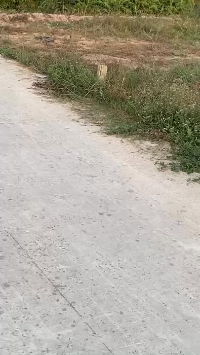 Đất MT Đường Bê Tông, Hòa Khánh Tây - 170m² Sổ Hồng Riêng, Giá 610 Triệu