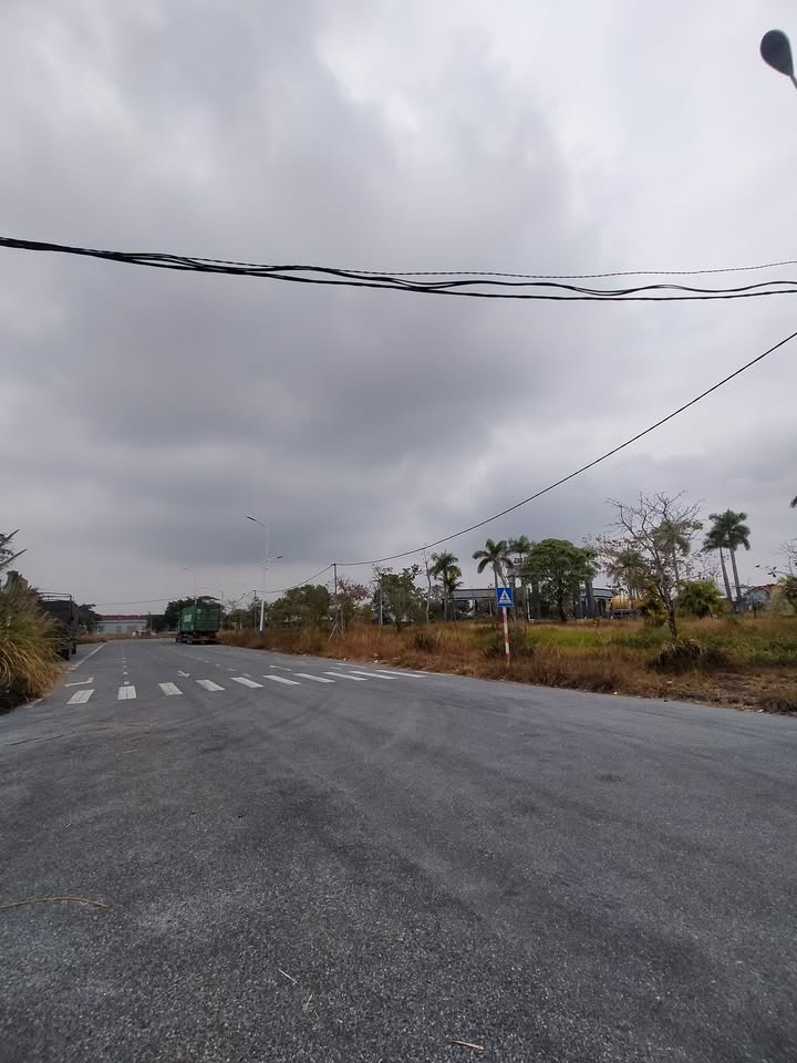 Bán Gấp Đất Vàng 20.000m² Mặt Tiền Kinh Doanh Tại Móng Cái - Sổ Đỏ Sẵn Sàng