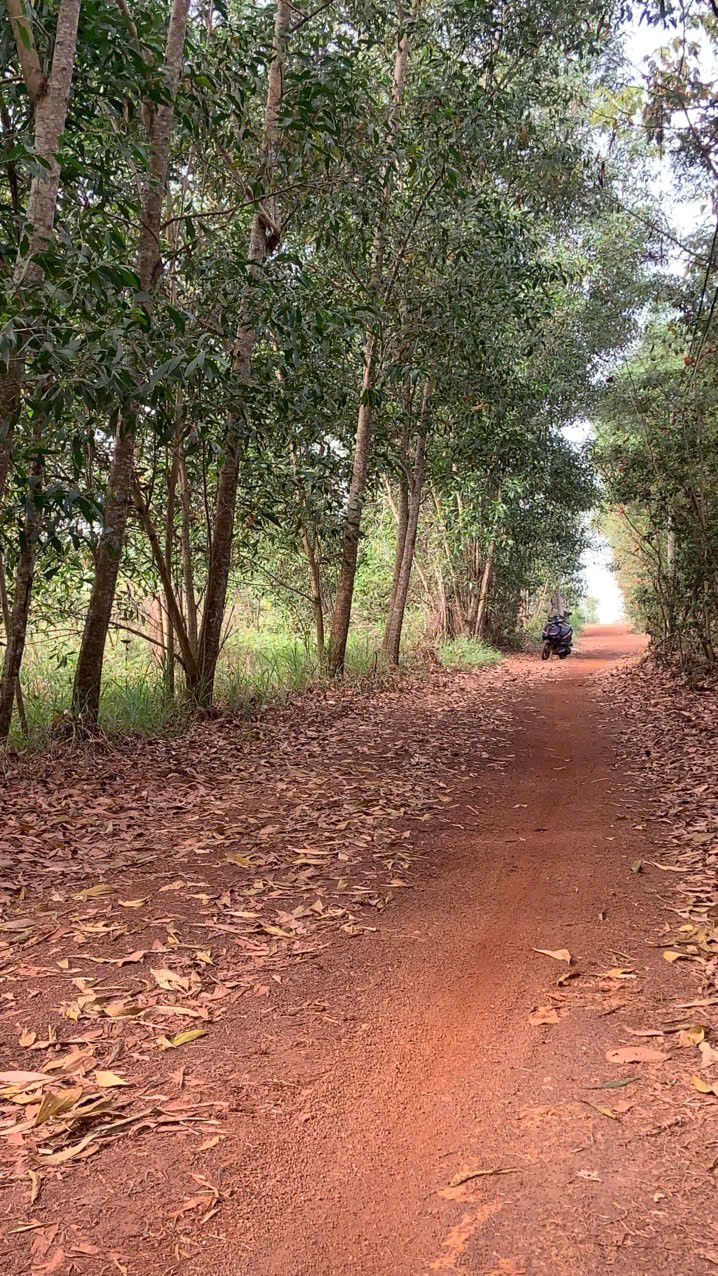 Đất Sào Gia Kiệm 6480m² - 80m Mặt Tiền Siêu Khủng, Giá Chỉ 1.1 Tỷ