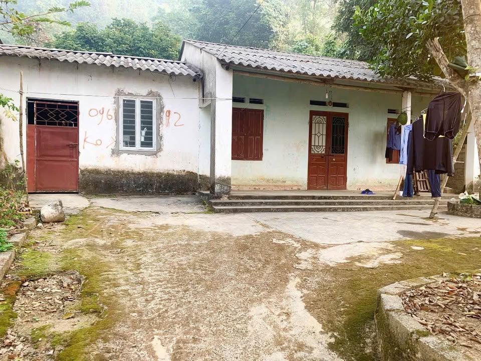 Đất nền Tân Vinh, Lương Sơn 625m² giá 2,x tỷ - Sổ đỏ chính chủ