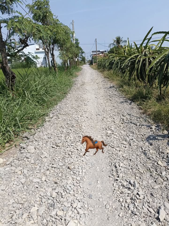 Bán Đất Nền Kiểng Phước Gò Công Đông 1450m² - Sổ Hồng Thổ Cư