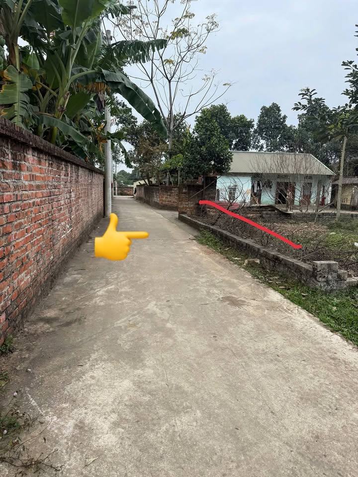 Đất nền Cổ Đông Sơn Tây 100m² - Sổ đỏ chính chủ, đầu tư sinh lời!