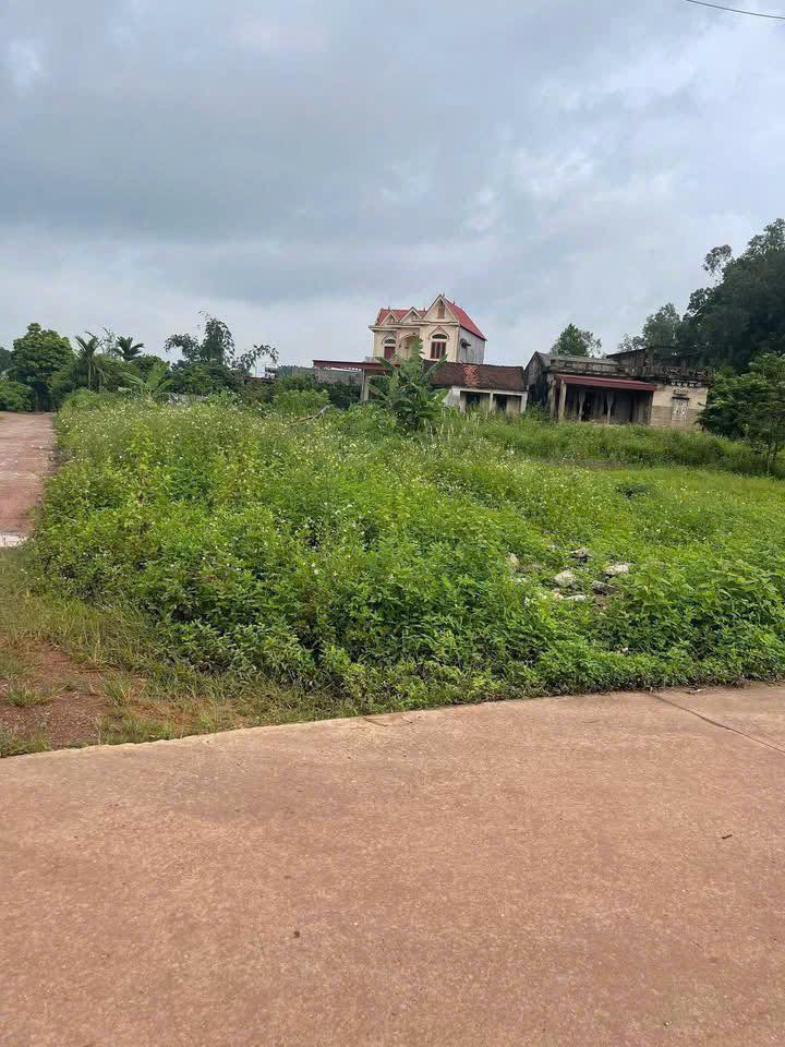 Đất nền Tân Yên 200m² - Sổ đỏ chính chủ, đường ô tô thông thoáng