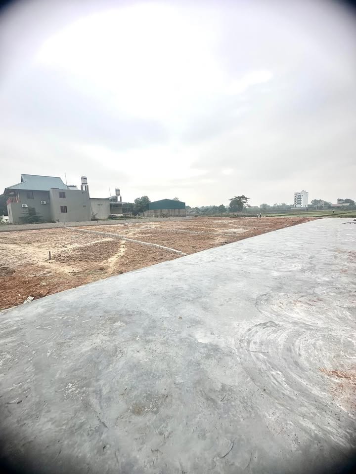 Đất nền Cao Xá Tân Yên 120m² từ 700 triệu - Giá F0 CĐT, tiềm năng sinh lời!