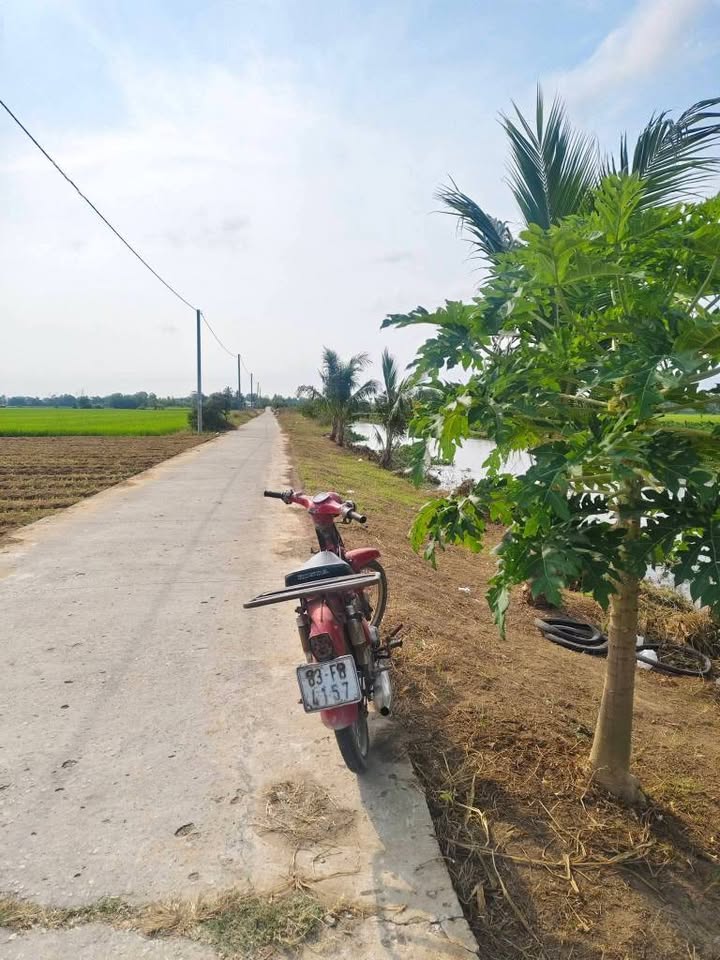 Đất Nền Mỹ Xuyên Sóc Trăng 1000m² - View Kênh Thoáng Mát, Giá 520 Triệu