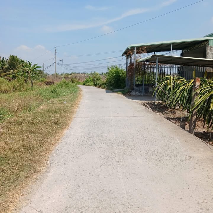 Đất nền Phước Tân Hưng 500m² giá 800 triệu - Sổ đỏ chính chủ!