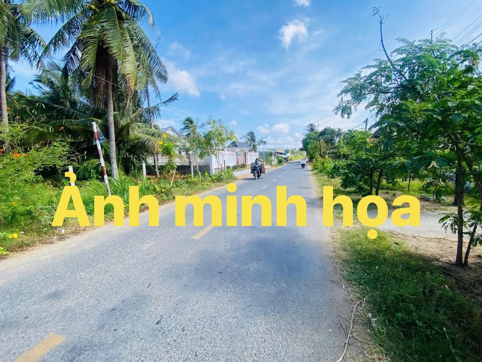 Bán Đất Vườn 3800m² Hướng Tốt Tại Châu Thành, Trà Vinh - Giá Đầu Tư