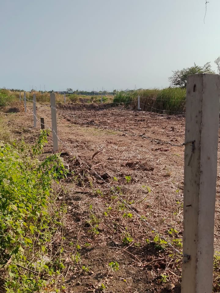 Đất Nền Mặt Tiền TL914, Trà Vinh - 533m² Nở Hậu Lộc Phát, Giá 1.1 Tỷ