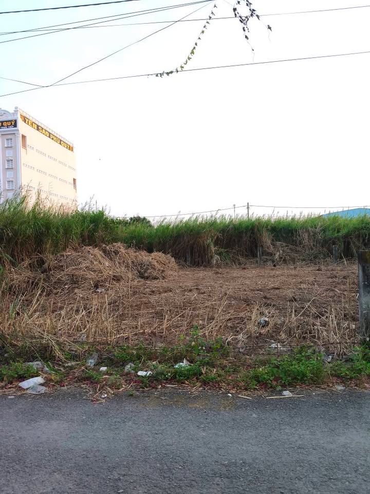 Bán Đất Mặt Tiền Nhựa Trục Thẳng Nhánh 2 Đồng Xanh, Trà Vinh - 110m² Full Thổ