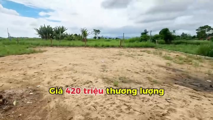 Đất nền Phú Hoà, Phú Yên – 110m² – Giá 420 triệu – Sổ đỏ sẵn sàng