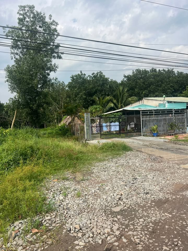 Đất nền ĐT749 Dầu Tiếng 1250m² - Sổ đỏ chính chủ