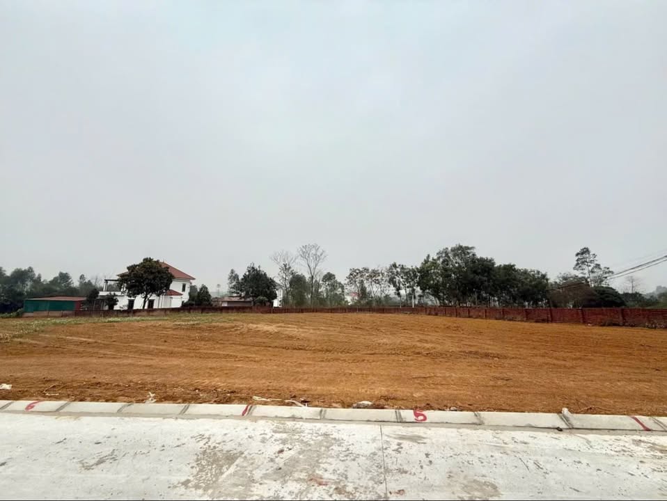 Đất nền Chu Hóa, Việt Trì 100m² - Giá F0 CĐT, tiềm năng sinh lời!