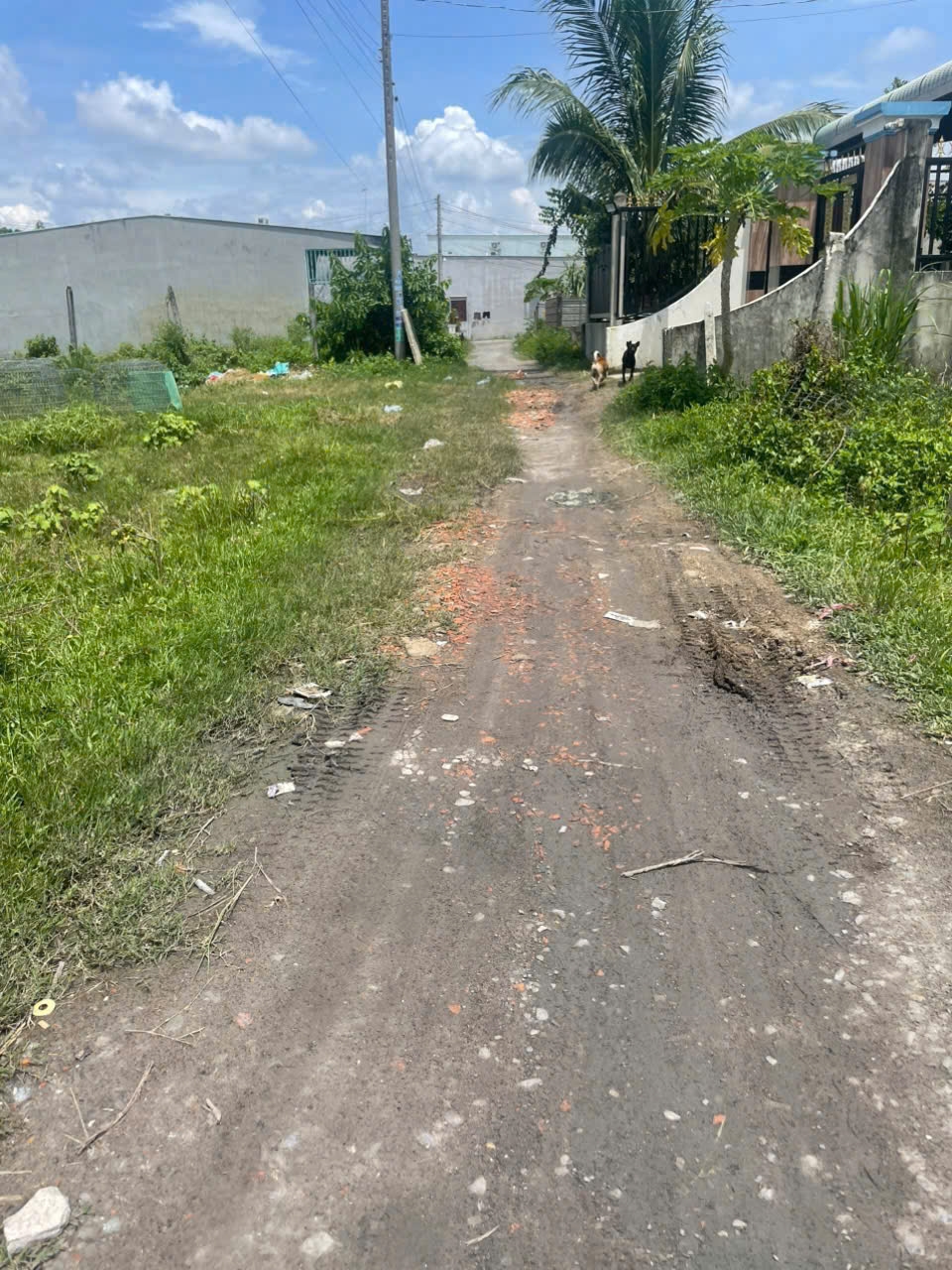 Đất nền Hòa Khánh Đông, Đức Hòa 122m² giá 750 triệu - Tiềm năng tăng giá