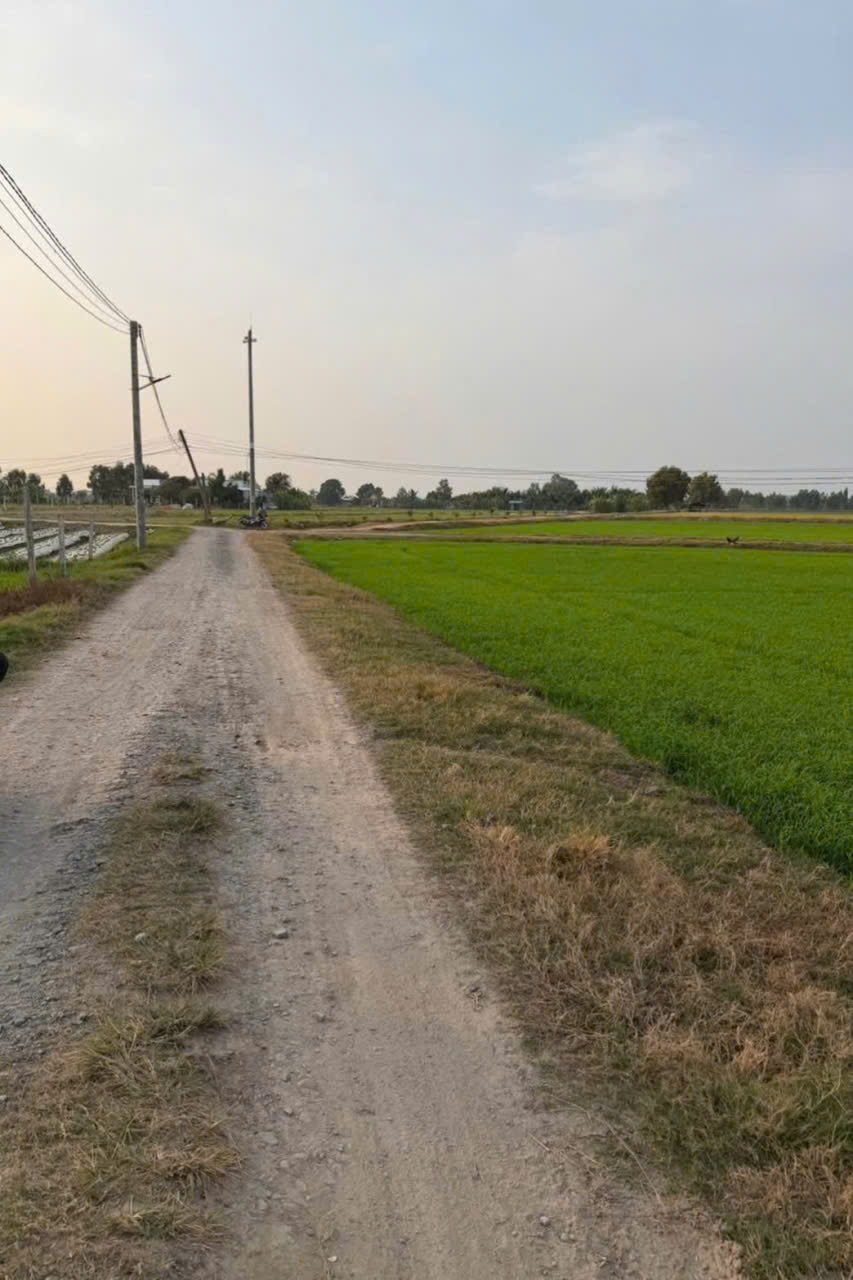 Đất thổ cư Đức Huệ 800m² mặt tiền đá xanh - Sổ hồng sẵn sàng