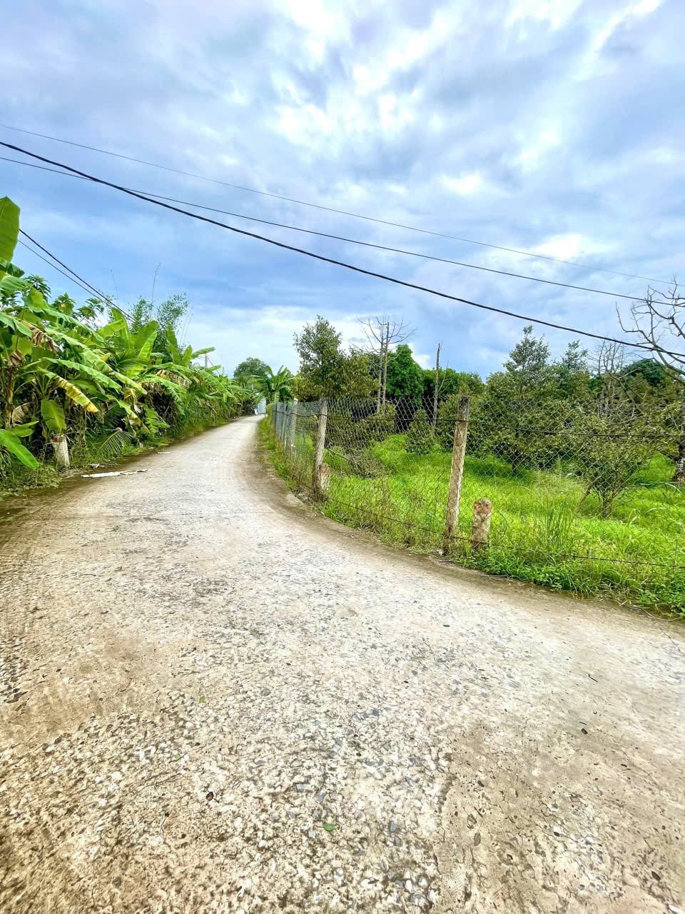 Đất nền full thổ cư Mỹ Khánh, Cần Thơ - Sổ hồng riêng, gần ĐH Nam Cần Thơ