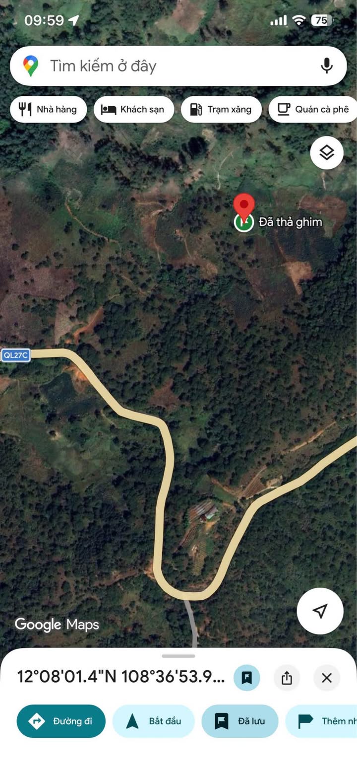 Đất Vườn Cafe 5000m² Đông Mang, Đạ Nhim - Giá Đầu Tư Tốt!