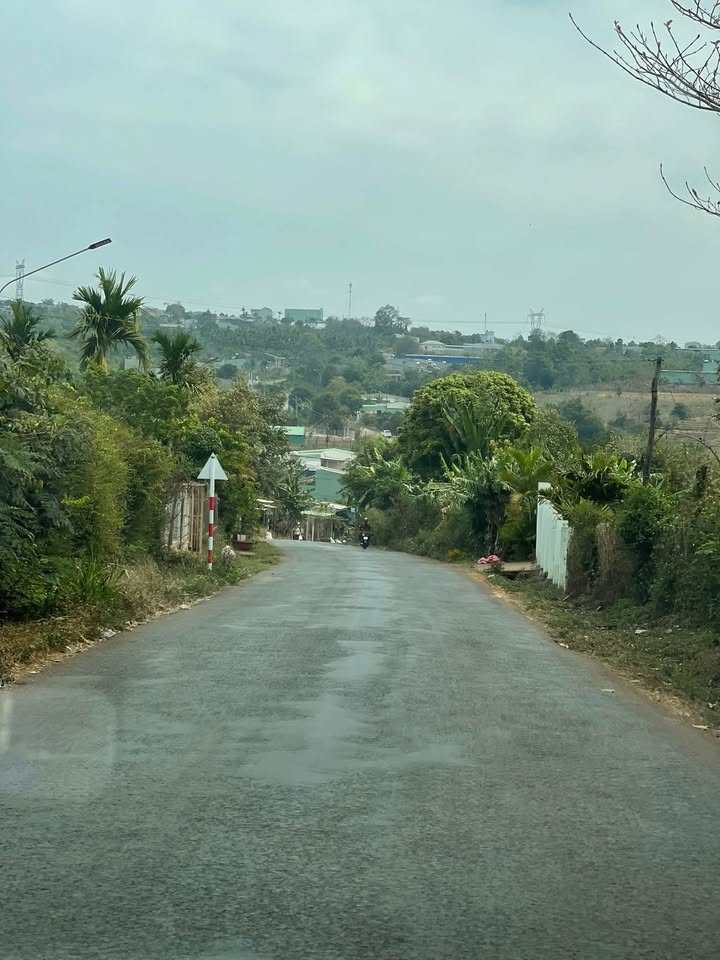 Farm Sầu Riêng 1 Héc Chư Sê - Gia Lai - Kinh Doanh & Thu Nhập Khủng