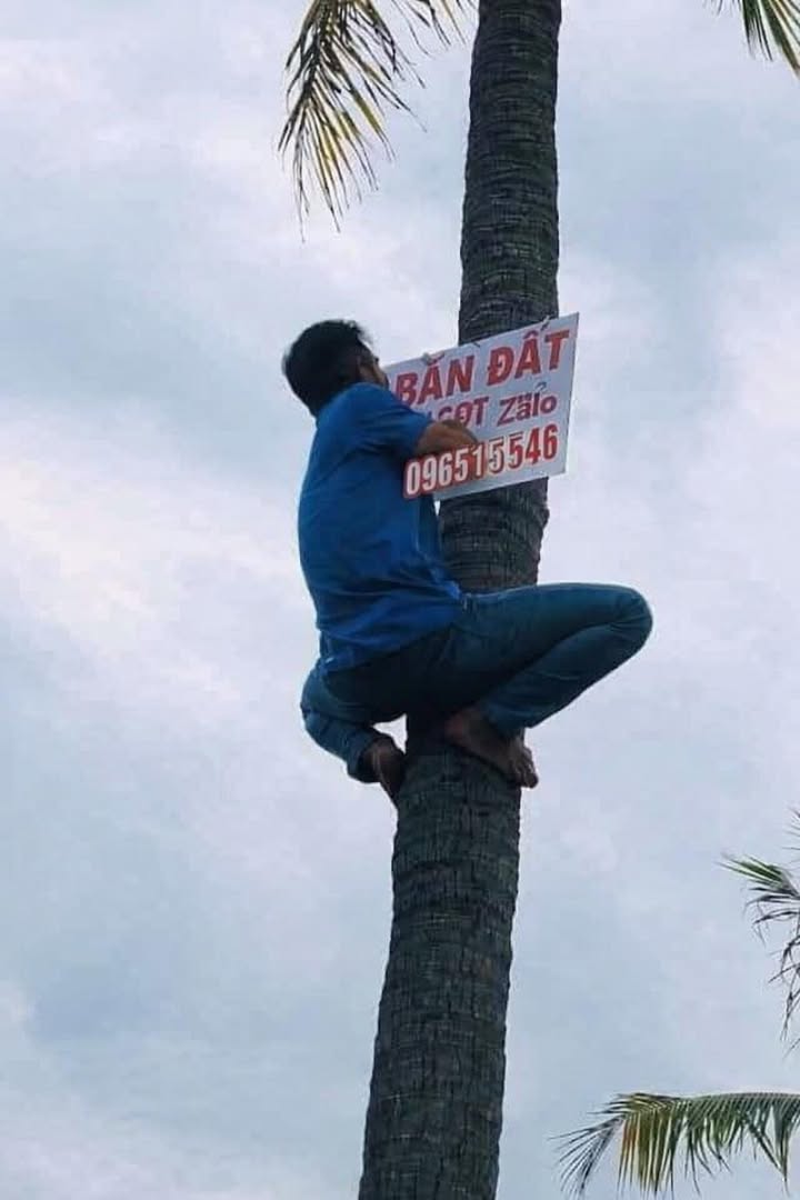 Đất Tam Nghĩa Núi Thành 280m² - Sổ Đỏ 100% Thổ Cư, Giá Tốt