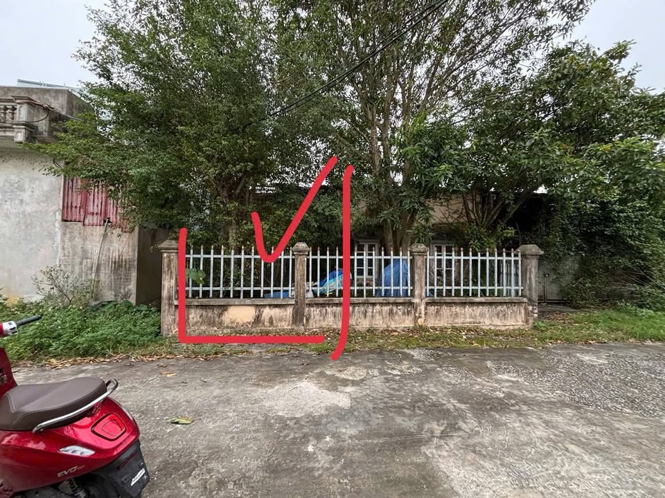 Bán Đất Nền Tân Phong Quảng Xương 100m² Giá 1.1 Tỷ - Tiềm Năng Tăng Giá Cao