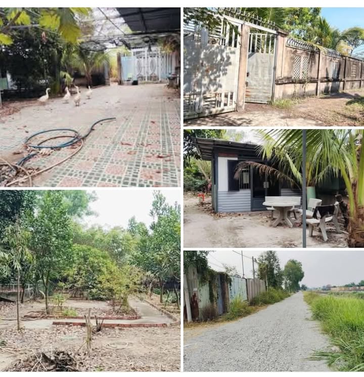 Đất Vườn Củ Chi 500m² - Sổ Hồng Riêng 2.3 Tỷ - Xe Hơi Tới Nơi