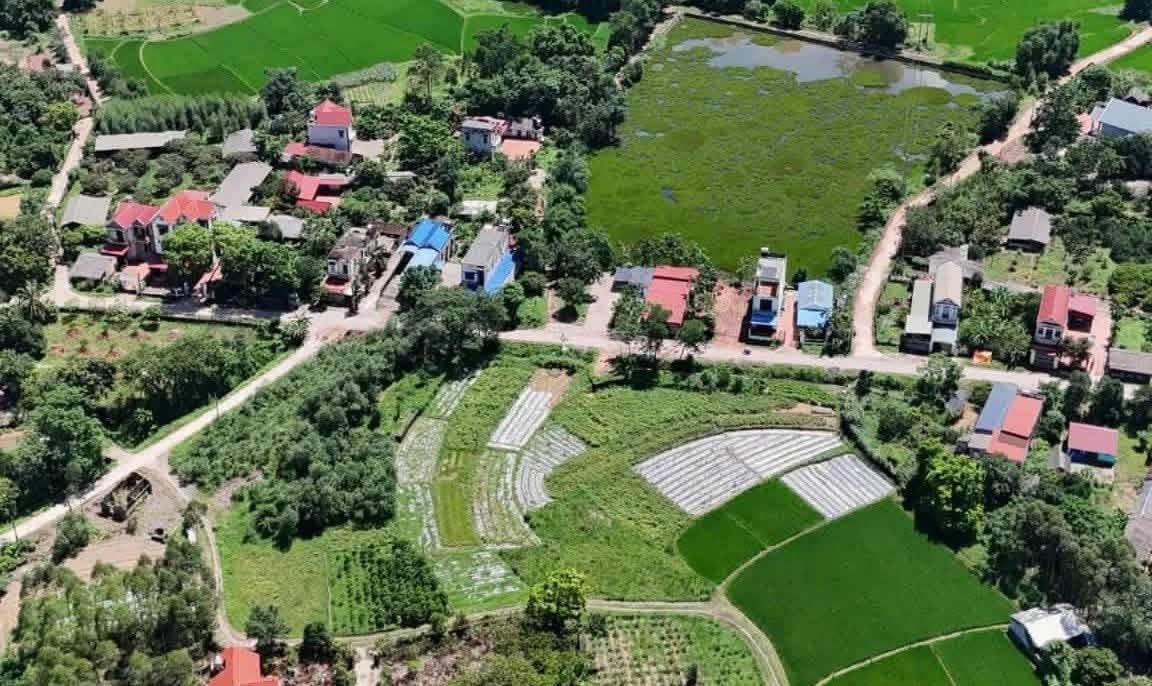 Đất đấu giá Đồng Tâm Yên Thế 100m² hơn 900 triệu - Sổ đỏ chính chủ