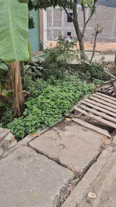 Đất nền Lương Phong Hiệp Hòa 150m² giá 3 tỷ - Sổ đỏ chính chủ!